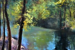 The magic of the sunny forest