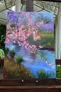 Sakura in the city park