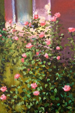 Corner of the garden