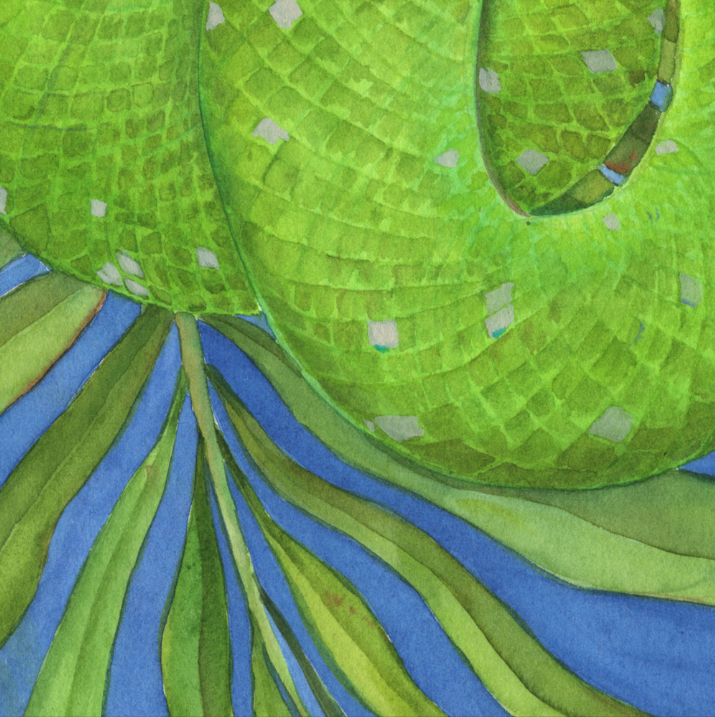 Tropical garden. Green tree python