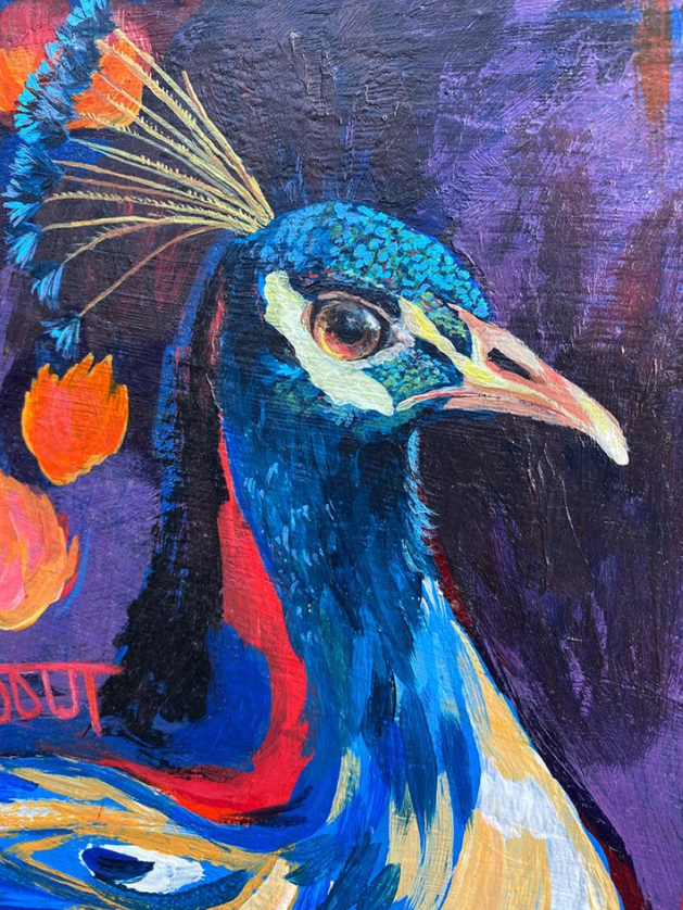 Peacock bird