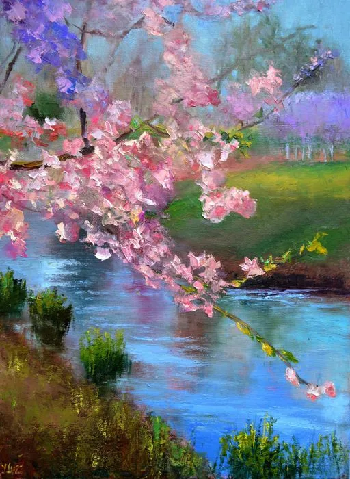 Sakura in the city park