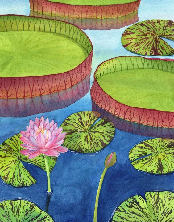 Tropical Garden. Pond