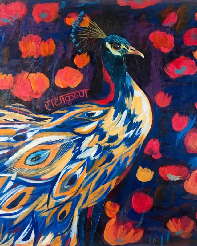 Peacock bird