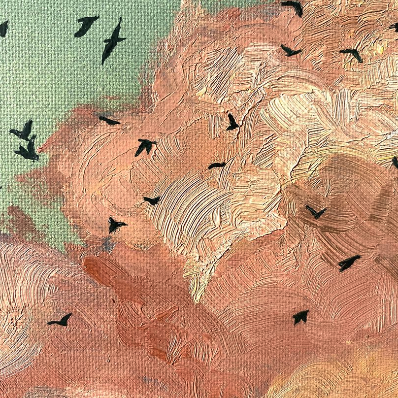 Hot Air Balloon Flock Of Bird