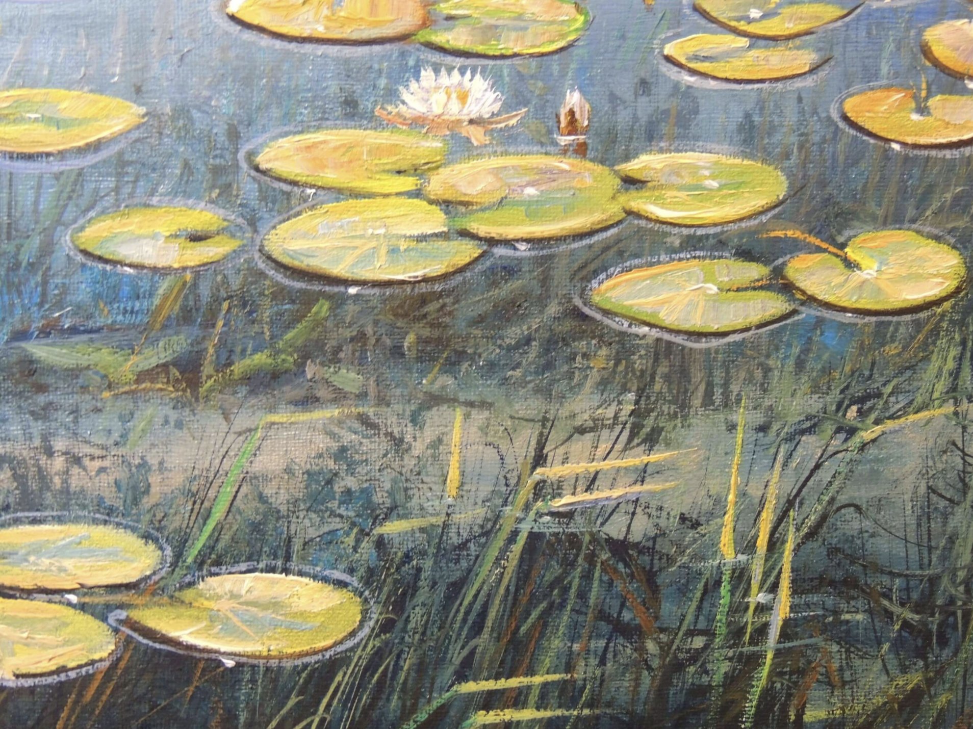 Mysteries of the Lake Flowers