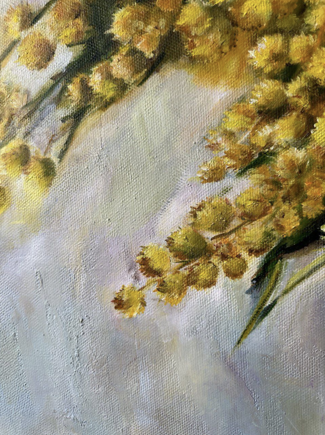 MIMOSA