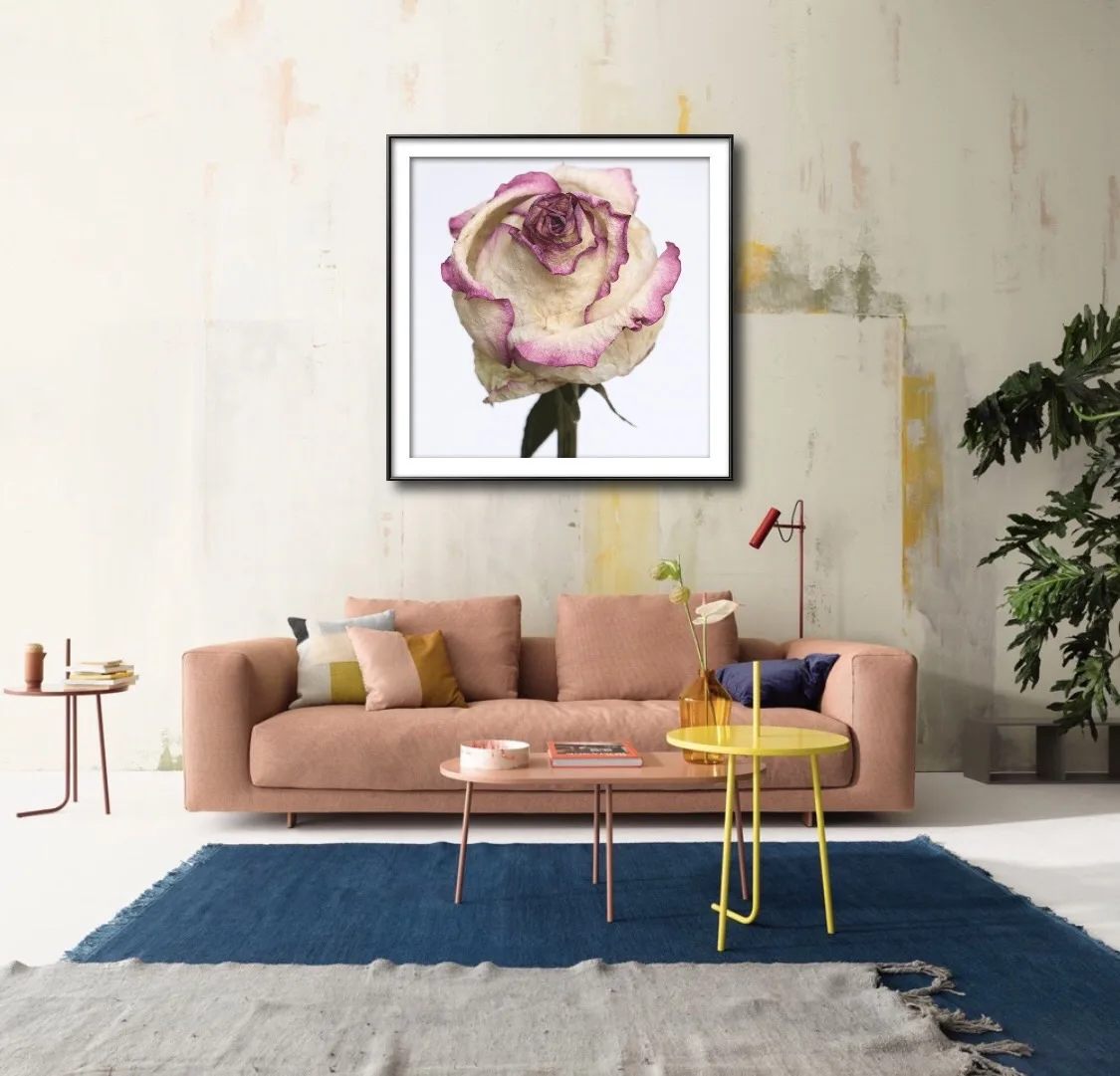 DEAD FLOWER