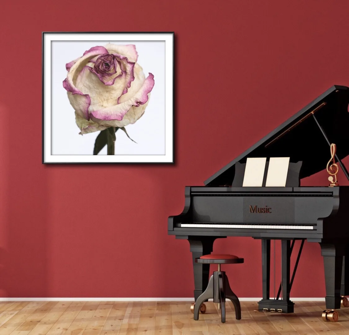 DEAD FLOWER