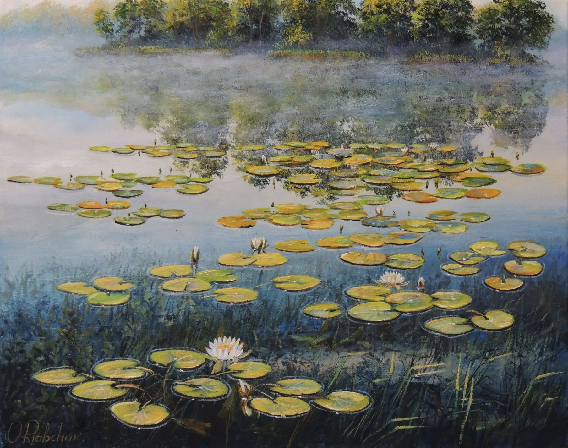 Mysteries of the Lake Flowers