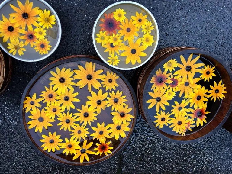 アートを出品しませんか？～初心者からプロまでのガイド～